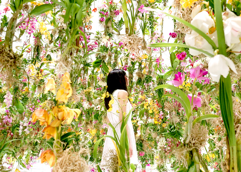 Floating Flower Garden, или интерактивный цветник от TeamLab